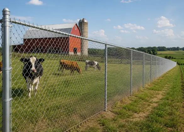 Agricultural-Land